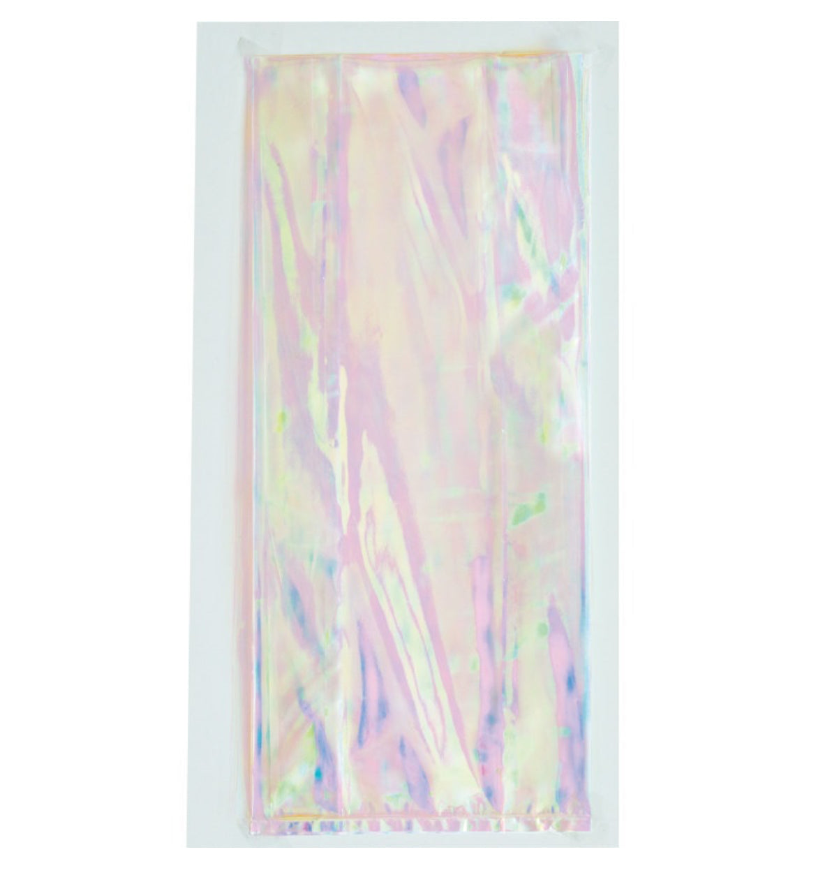 Iridescent Gift Bags - 10ct