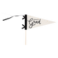 PLHB123 - Congrats Grad Felt Pennant Banner