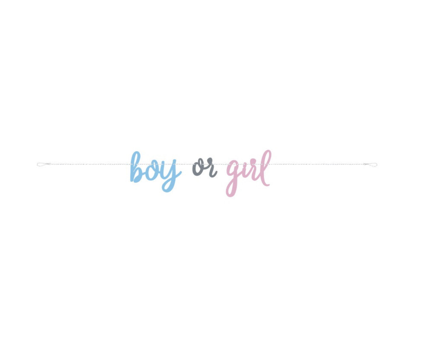 Boy or Girl Banner