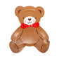 BER1240 - Occasions Beary Loved Teddy Bear Shaped Plate Set